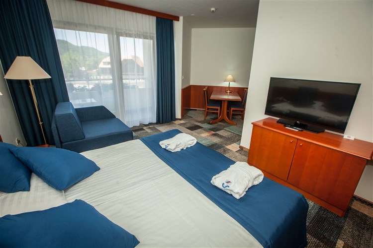 Lázně Terme Čatež - Hotel Toplice