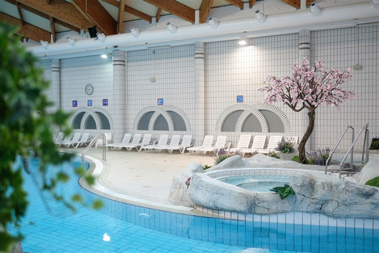 Lázně Terme Čatež - Hotel Terme