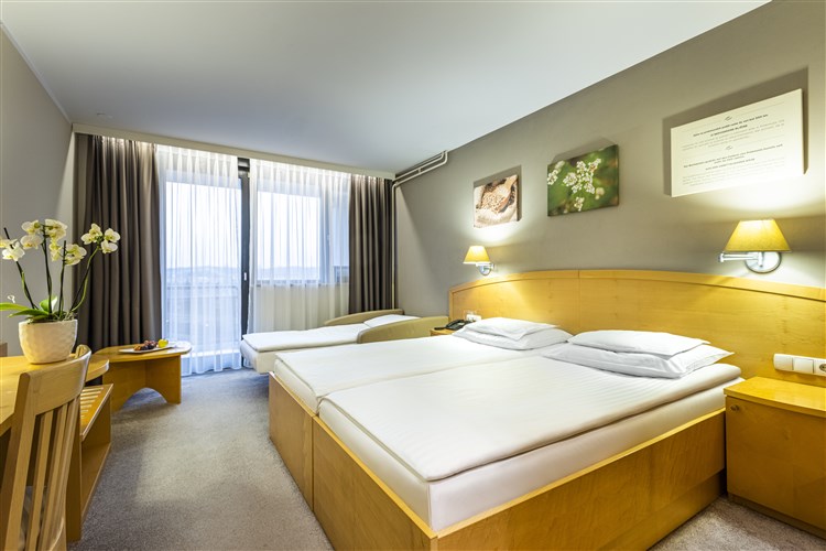 Lázně Terme 3000 - Hotel Ajda