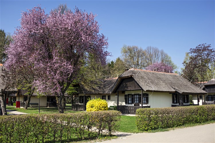 Lázně Terme 3000 - Bungalovy Termal