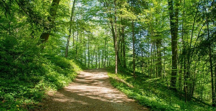 Termální lázně Rimske terme s návštěvou adventních trhů v Mariboru, Ljublani a Celje