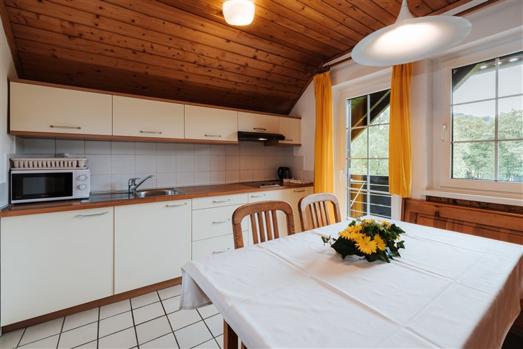 Terme Olimia - Lipa Village 3*