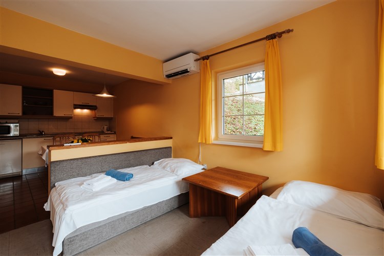 Terme Olimia - Lipa Village 3*