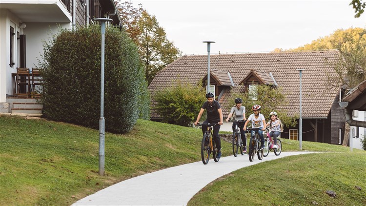 Terme Olimia - Lipa Village 3*