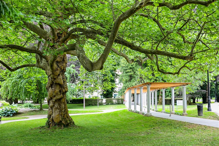 Lázeňský zážitek v Terme Dobrna – procedury a doprava v ceně