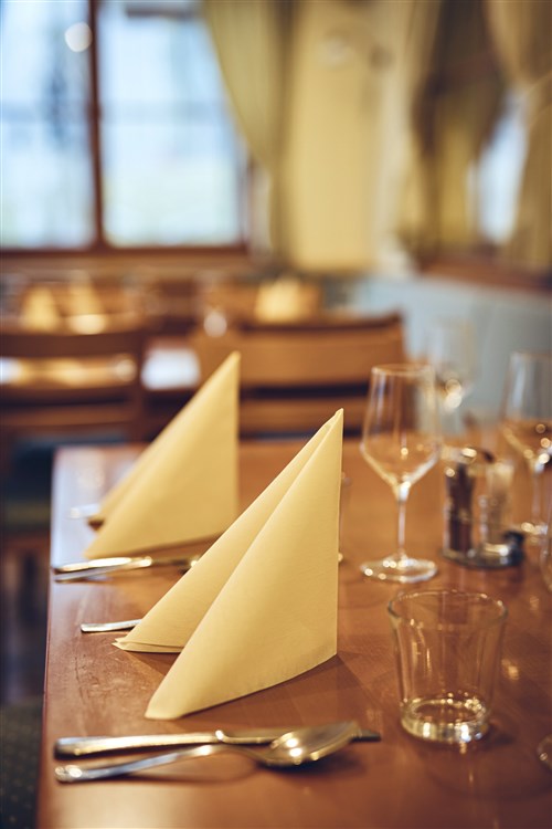 Wellbeing Resort - Wellness & Spa Hotel Bolfenk