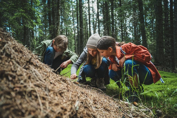 Wellbeing Resort - Apartmány Bolfenk