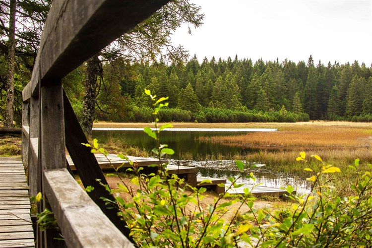 Wellbeing Resort - Apartmány Bolfenk