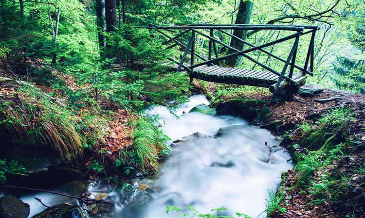 Wellbeing Resort - Apartmány Bolfenk