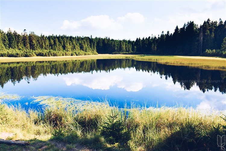 Wellbeing Resort - Apartmány Bolfenk