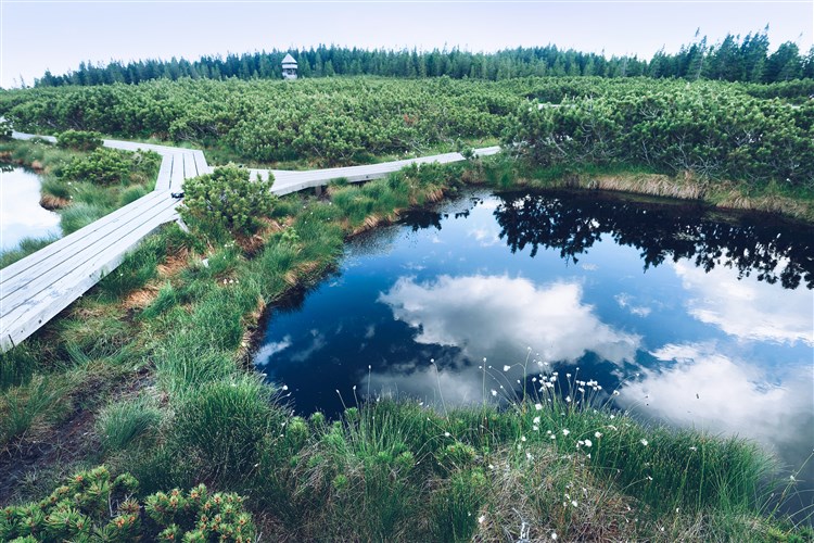 Wellbeing Resort - Apartmány Bolfenk