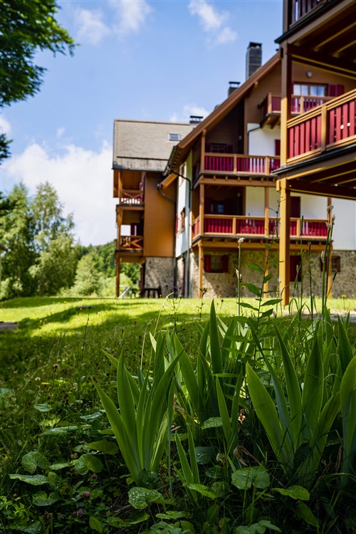 Wellbeing Resort - Apartmány Videc