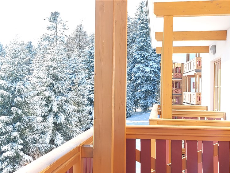 Wellbeing Resort - Apartmány Videc