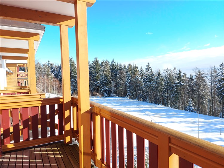 Wellbeing Resort - Apartmány Videc