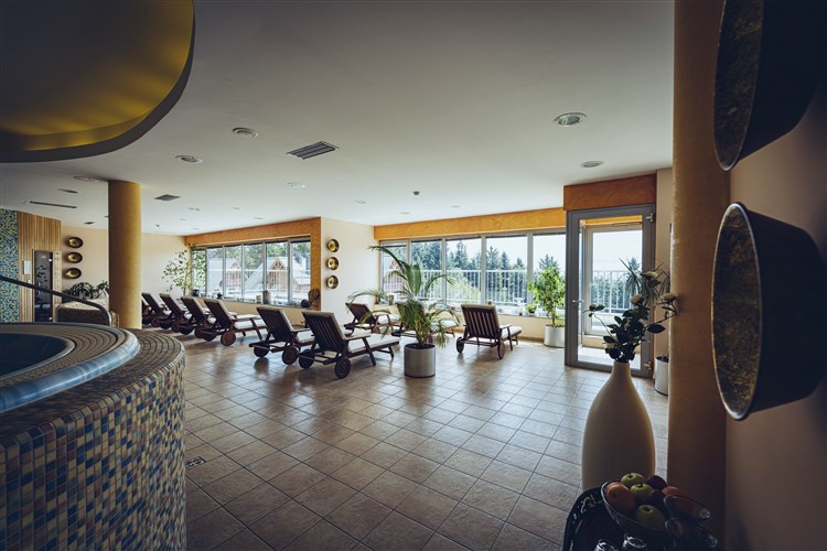 Wellbeing Resort - Apartmány Videc