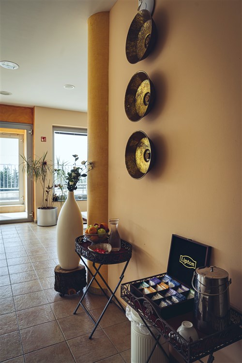 Wellbeing Resort - Apartmány Videc