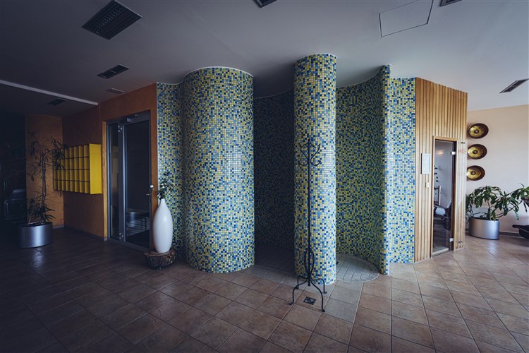 Wellbeing Resort - Apartmány Videc