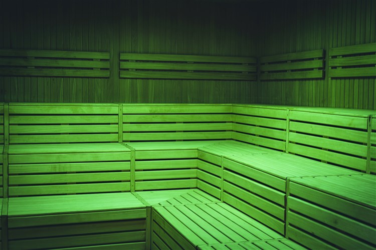 Wellbeing Resort - Apartmány Videc