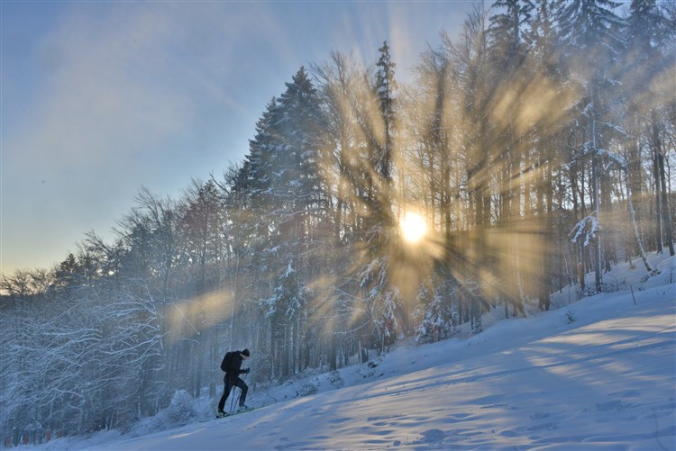 Wellbeing Resort - Wellness & Spa Hotel Bolfenk