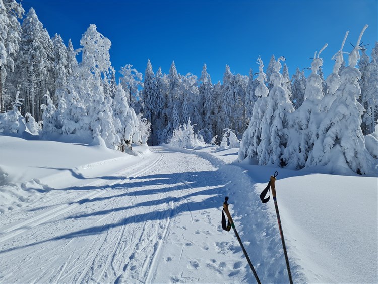 Wellbeing Resort - Wellness & Spa Hotel Bolfenk