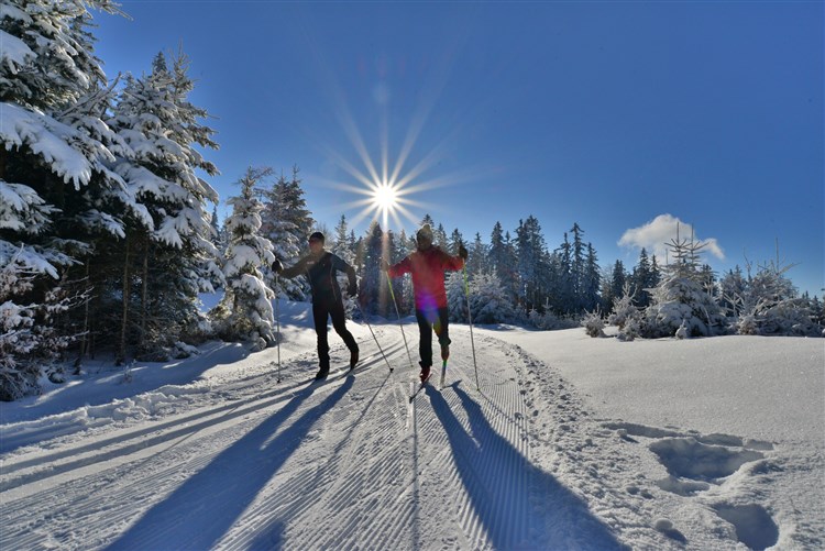 Wellbeing Resort - Wellness & Spa Hotel Bolfenk