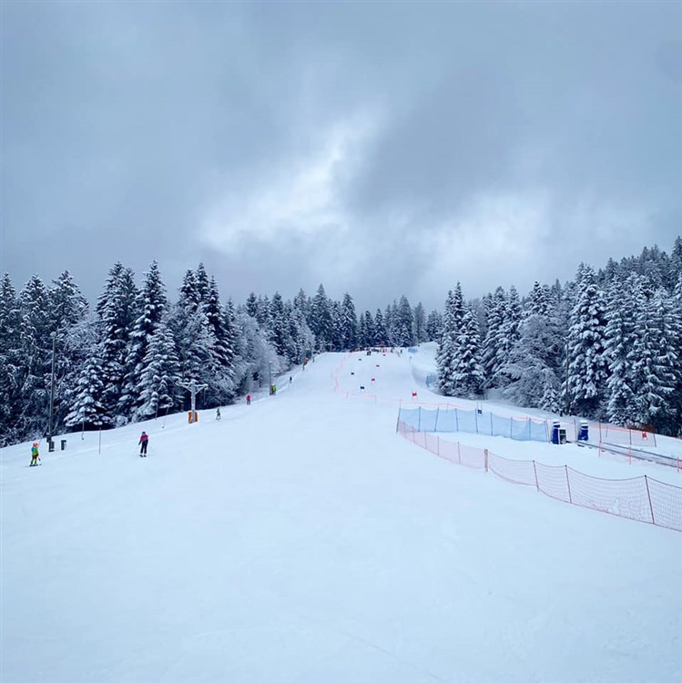 Wellbeing Resort - Wellness & Spa Hotel Bolfenk