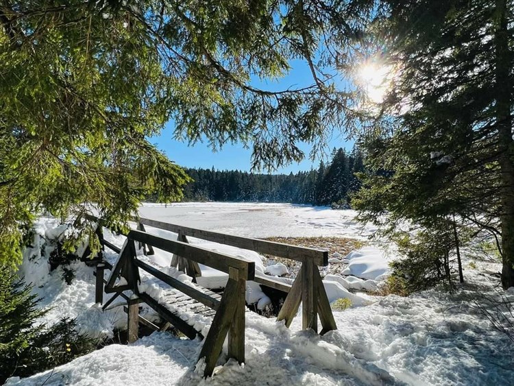 Wellbeing Resort - Hotel Videc