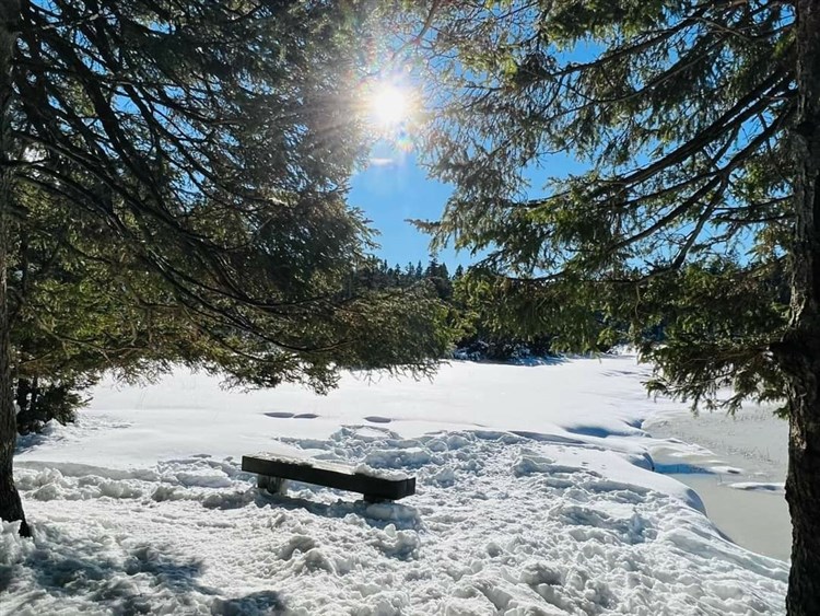 Wellbeing Resort - Apartmány Videc