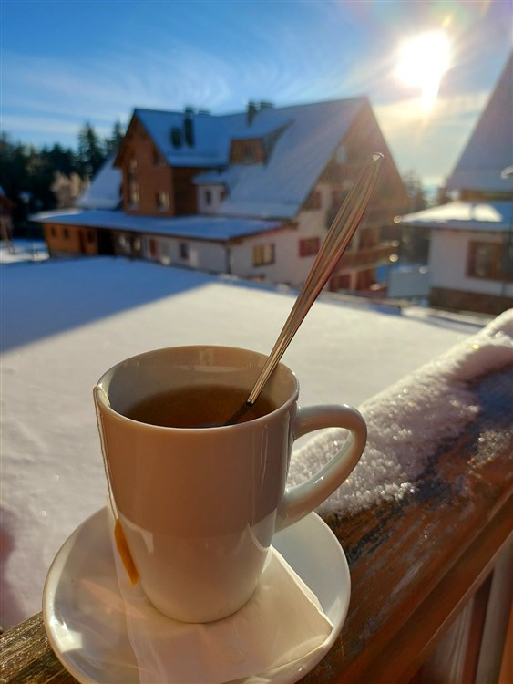 Wellbeing Resort - Apartmány Videc