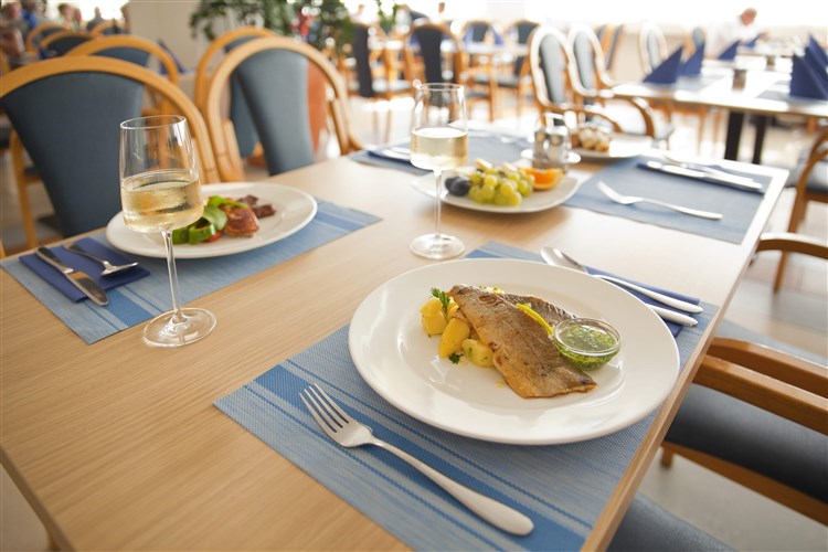 Lázně Terme Topolšica - Hotel Vesna