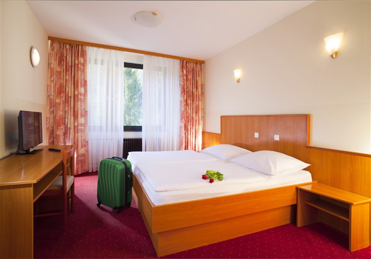 Lázně Terme Topolšica - Hotel Vesna