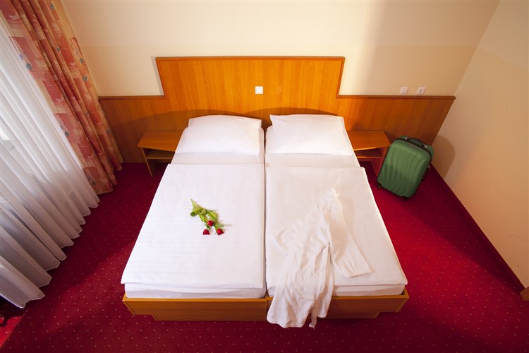 Lázně Terme Topolšica - Hotel Vesna