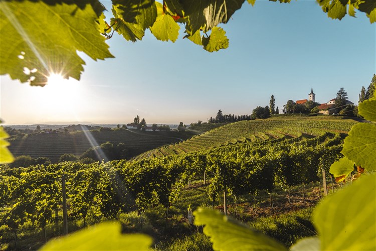 Bioterme Mala Nedelja - Hotel Bioterme