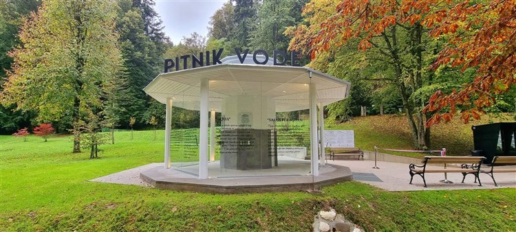 Lázeňský zážitek v Terme Dobrna – procedury a doprava v ceně