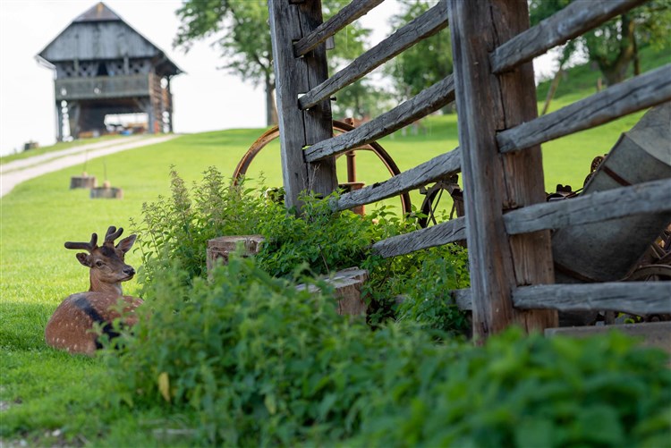 Lázeňský zážitek v Terme Dobrna – procedury a doprava v ceně