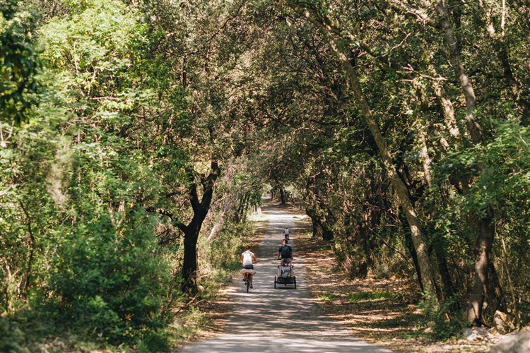 Arba Resort Valamar Collection