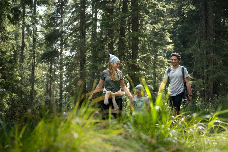 Terme Rogla - Hotel Natura