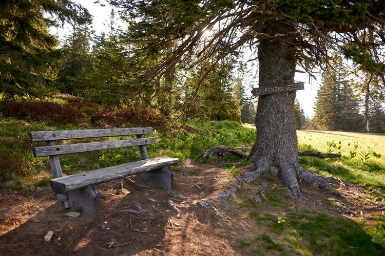 Terme Rogla - Hotel Natura