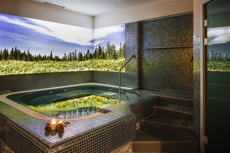 Terme Rogla - Hotel Rogla