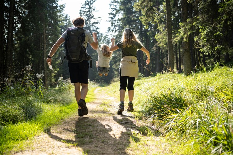 Terme Rogla - Hotel Rogla