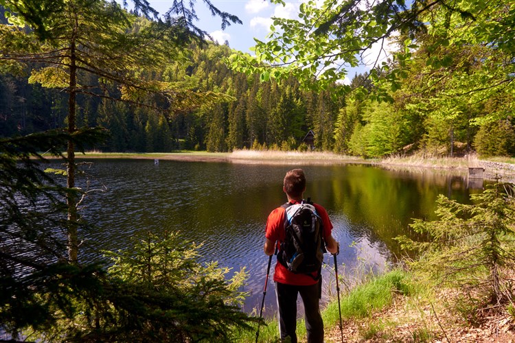 Terme Rogla - Hotel Rogla