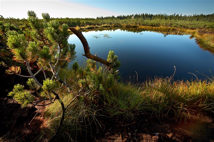 Terme Rogla - Hotel Rogla