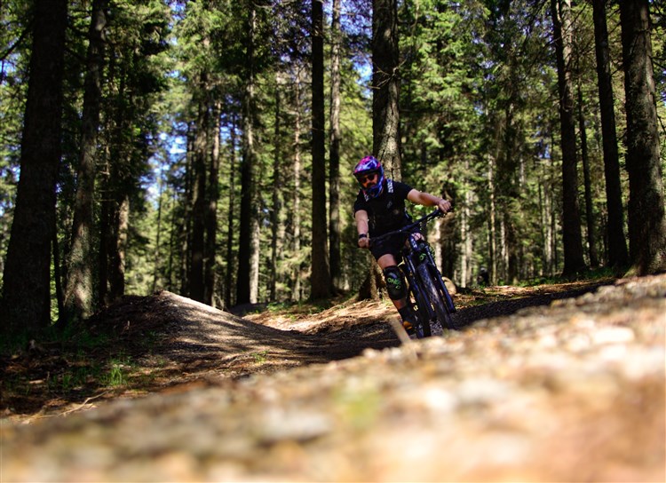 Terme Rogla - Hotel Rogla