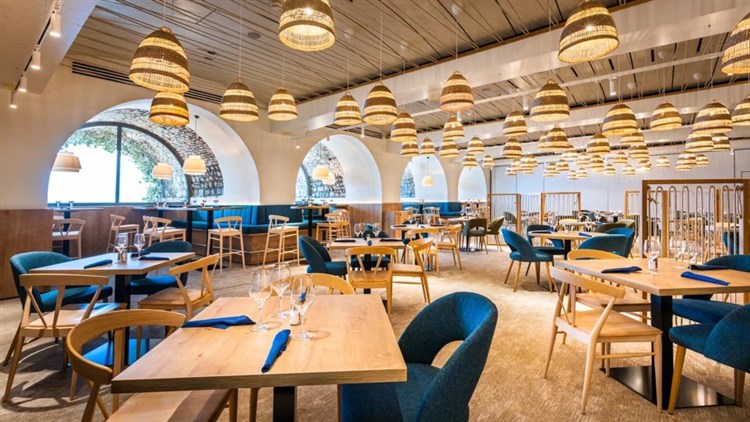 Hotel Vile Park Premium