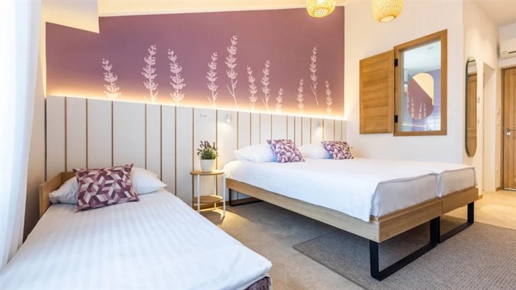 Hotel Vile Park Premium