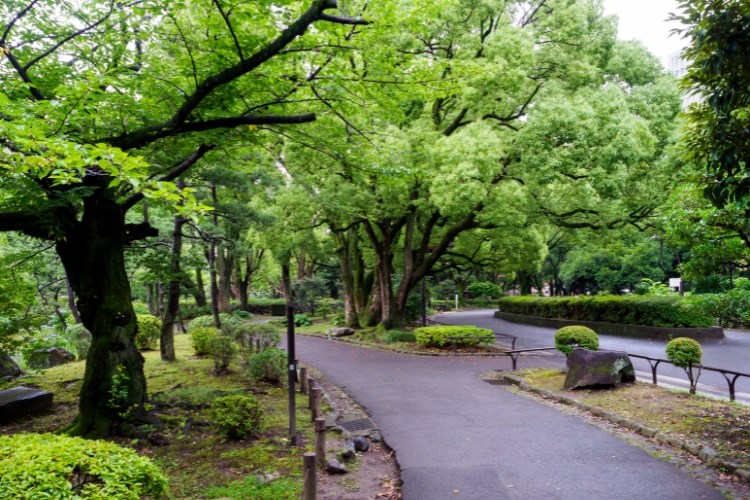 Vídeňské okolí – příroda a památky