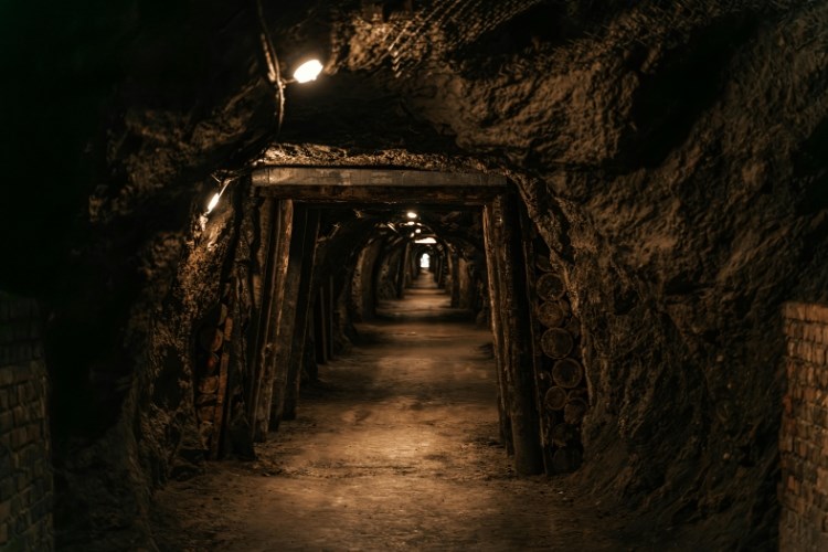 Vídeňské okolí – příroda a památky