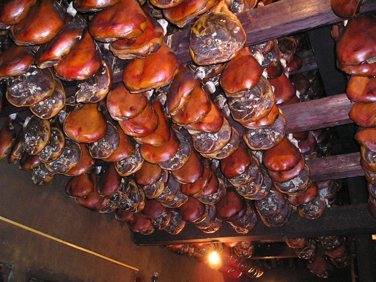 Černá Hora – princezna Balkánu