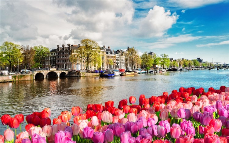 Rozkvetlé Holandsko - květinové korzo, sýry a plavba po kanálech v Amsterdamu