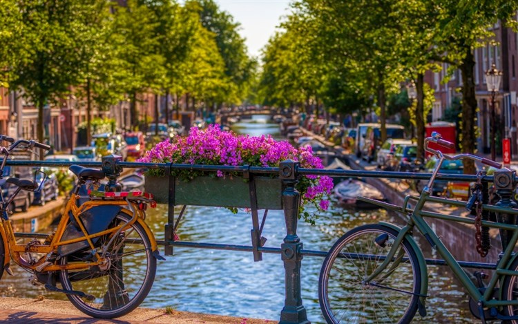 Rozkvetlé Holandsko - květinové korzo, sýry a plavba po kanálech v Amsterdamu